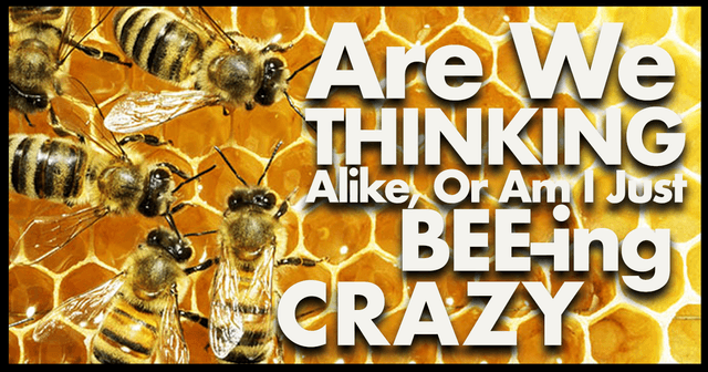 Is That a Hive Mind, or are You Just Happy to See Me... main image